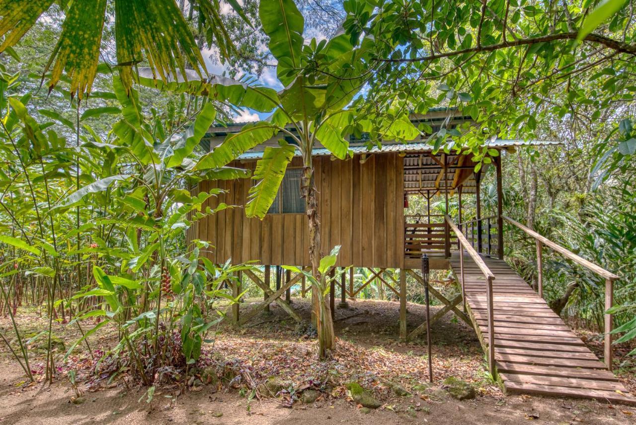 Selva Bananito Lodge Westfalia Exterior foto