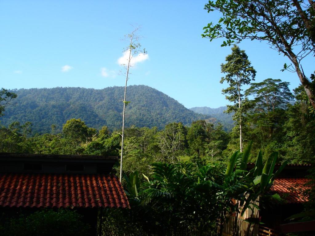 Selva Bananito Lodge Westfalia Exterior foto