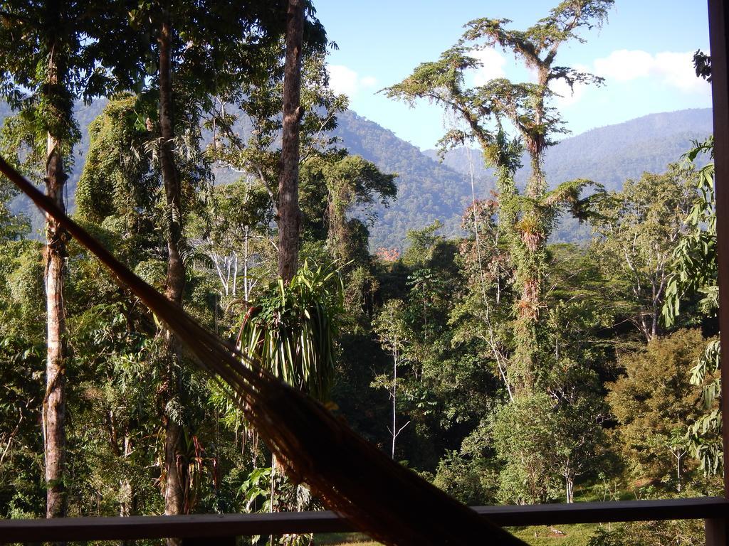 Selva Bananito Lodge Westfalia Habitación foto